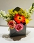 BOX LETTER - loja online