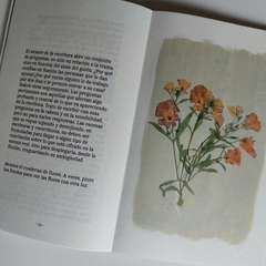 Imagen de Cuadernos del merodeo