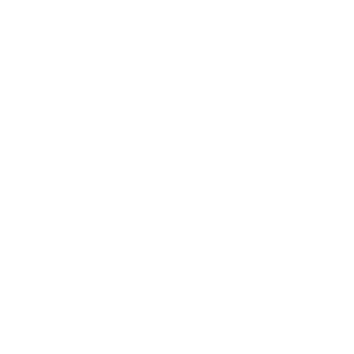 Wyvern