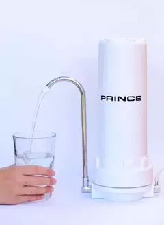 FILTRO DE AGUA PRINCE MP 70 - comprar online