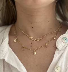 Collar bicha en internet