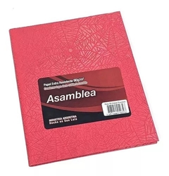 CUADERNO 123 ASAMBLEA X 50 HOJAS == ARAÑA VARIOS COLORES