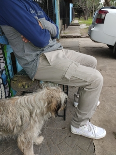 cargo pants huntley - comprar online