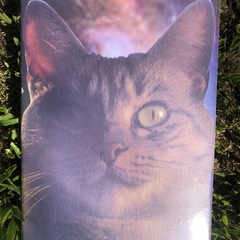 tabla frani cat - comprar online