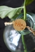 Choker Iniciais - loja online