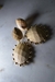 BRINCO MADEIRA - loja online