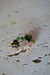 BRINCO PEDRARIA CRAVEJADA - comprar online