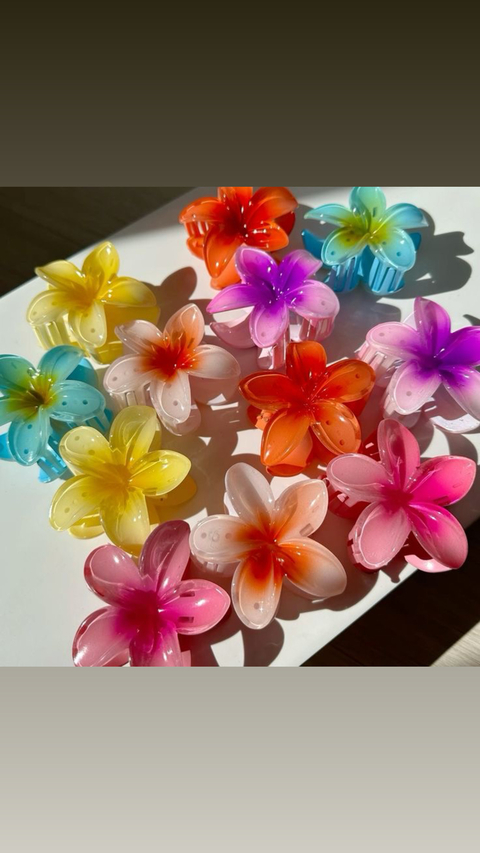 Broche para pelo hibiscus