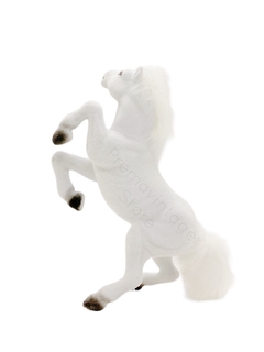 Caballo Potro 2 patas - comprar online