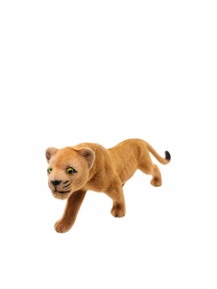 Pack x5 Familia Leones Felpa - comprar online
