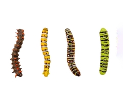 Orugas Gusanos de Plástico x 12 coleccion - Premavintage