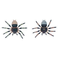 Araña Tarantula Goma Blanda