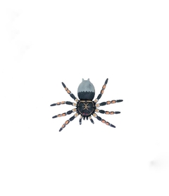 Araña Tarantula Goma Blanda - comprar online