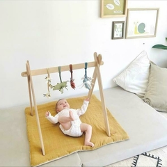 Gym para Bebe en internet