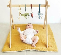 Gym para Bebe