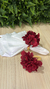 Kit 02 Porta-guardanapos hortênsia Vermelha - comprar online