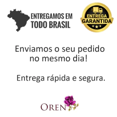 Ralador De Gengibre Alho Aço Inox - Utilidades, Mesa Posta e Decoração | OREN Utilidades