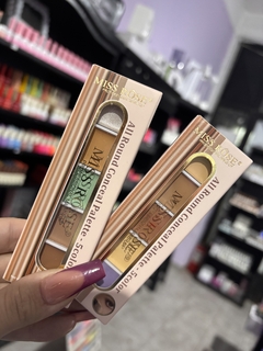 Paleta corrector