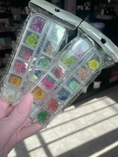 Flores secas para encapsular con organizador