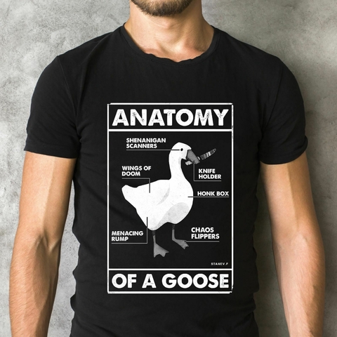 "ANATOMY OF A GOOSE"