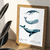 Poster | Baleias - comprar online