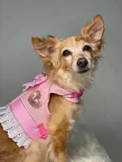 Peitora Ursinho Luxo Rosa na internet