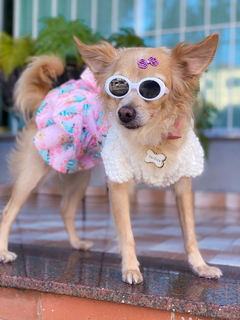 Óculos pet “Kurt Cobain” oval