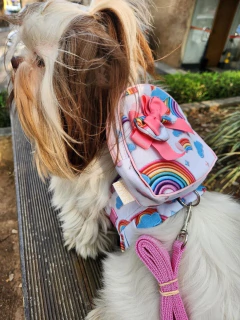 Peitoral Mochilinha Arco-Íris - loja online
