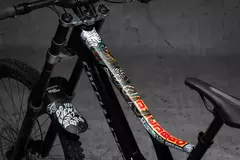 PROTECTOR BICICLETA DYEDBRO en internet