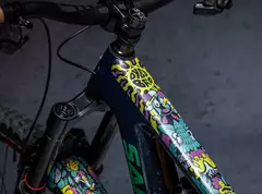 PROTECTOR BICICLETA DYEDBRO