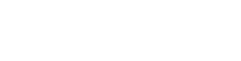 STEG