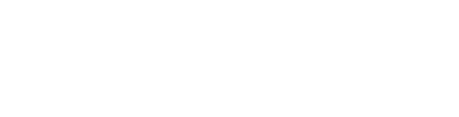 STEG