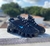 Nike Shox 12 Molas Retrô Importado Vietnã 34 ao 43 - DN Multimarcas