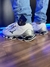 Mizuno Prophecy X WK Camaleão Nacional Intermediário - comprar online