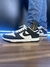 Nike Air Dunk Nacional 34 ao 43