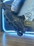 Mizuno Prophecy 9 Nacional Premium - loja online