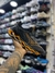 Imagem do Mizuno Prophecy 14 Importado Vietnã