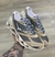 Imagem do Mizuno Prophecy LS Importado Vietnã