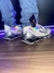 Mizuno Prophecy 12 Camaleão Nacional Intermediário