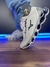 Mizuno Prophecy X WK Camaleão Nacional Intermediário na internet