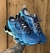 Imagem do Mizuno Prophecy X Importado Vietnã