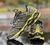 Mizuno Prophecy 1 Importado Vietnã (RELÍQUIA) na internet