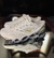 Imagem do Mizuno Prophecy 8 Importado Vietnã 34 ao 43