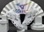 Mizuno Prophecy 11S Importado Vietnã - comprar online