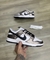 Nike Air Dunk Importado 34 ao 39