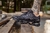 Mizuno Prophecy 9 Importado Vietnã - loja online