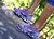 Mizuno Prophecy 8 Importado Vietnã 34 ao 43 - loja online