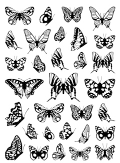 Transfers mariposas negro