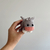 Mini Burrinho