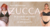 Carrusel ZUCCA LINGERIE